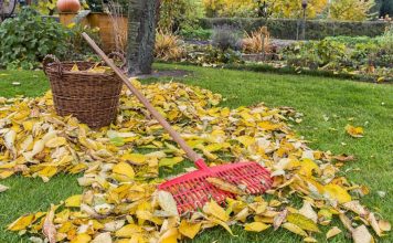 entretien jardin