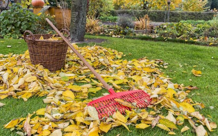 entretien jardin